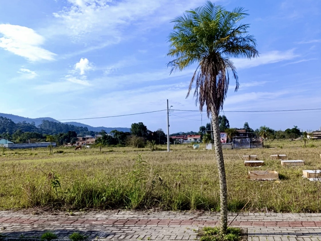 LOTE SERTÃO DO TROMBUDO
