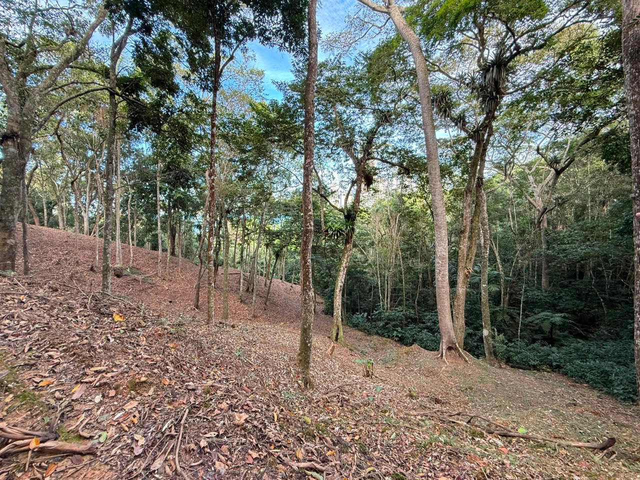 Terreno, 1260 m² - Foto 4
