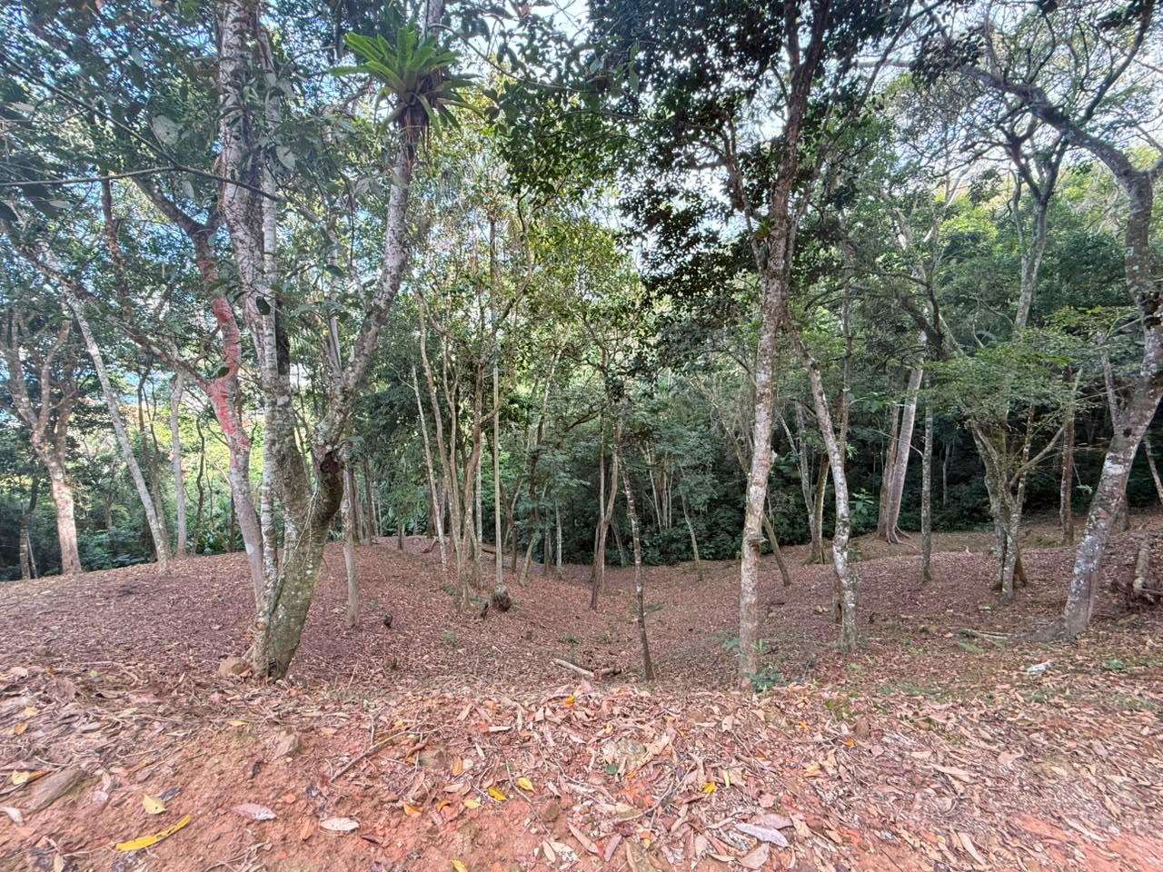 Terreno, 1260 m² - Foto 1