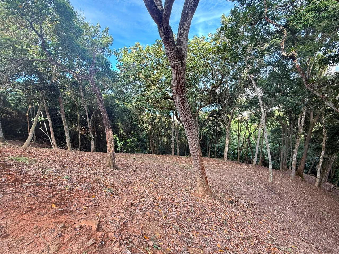 Terreno, 1260 m² - Foto 3
