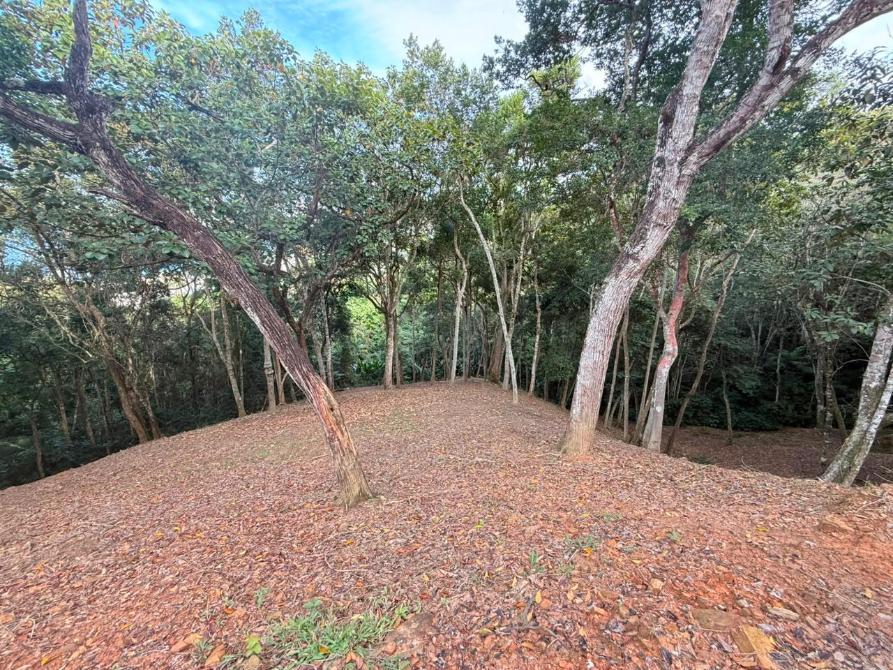 Terreno, 1260 m² - Foto 2