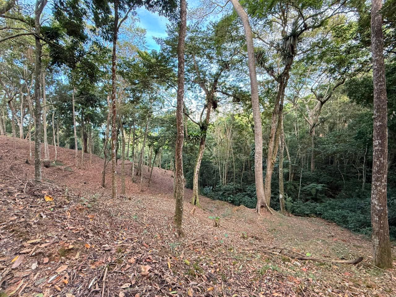 Terreno, 1260 m² - Foto 7